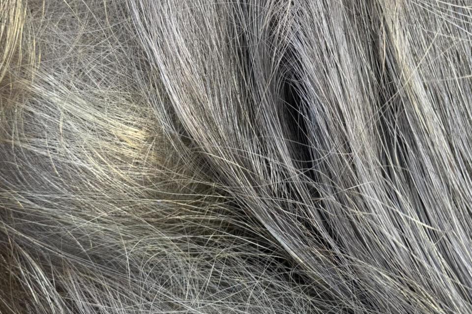 ワイヤーカットの画像